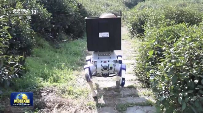 奇趣分分彩:我国智能机器人场景落地创新加速